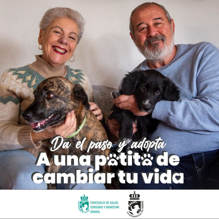 00_CartelCoslada_BatmanRobin-C